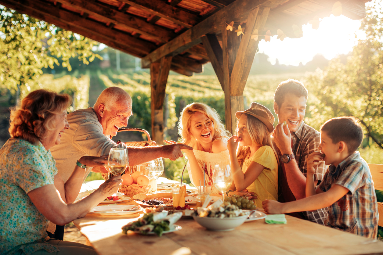 Picnic at a vineyard